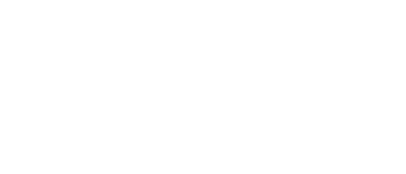 Logo MadVikigGames